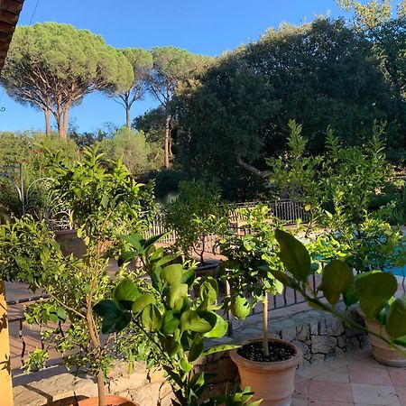 Sous Les Pins Parasols Vidauban Eksteriør billede