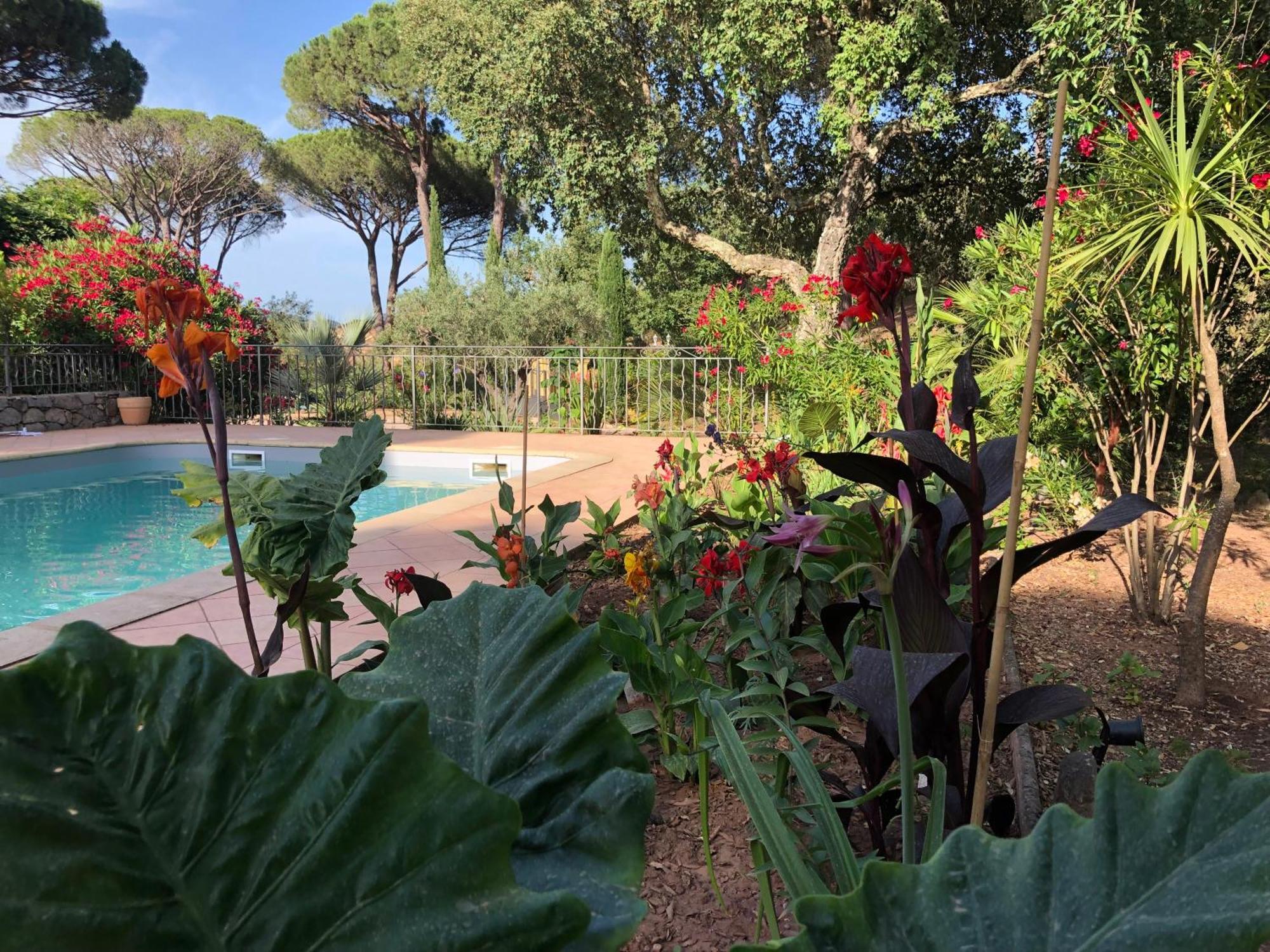 Sous Les Pins Parasols Vidauban Eksteriør billede