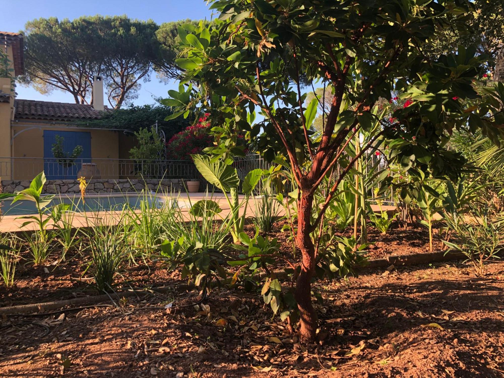 Sous Les Pins Parasols Vidauban Eksteriør billede