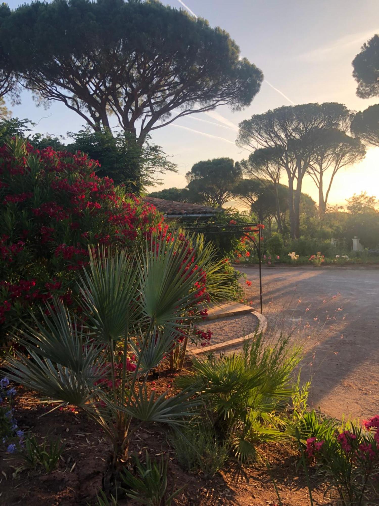 Sous Les Pins Parasols Vidauban Eksteriør billede