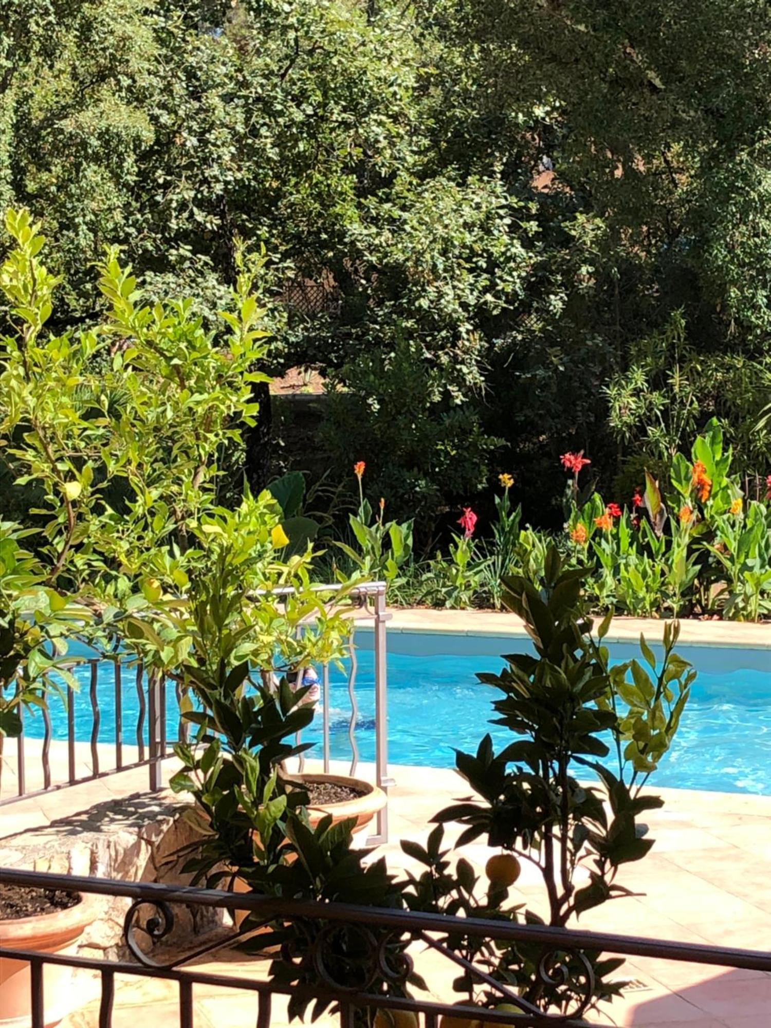 Sous Les Pins Parasols Vidauban Eksteriør billede