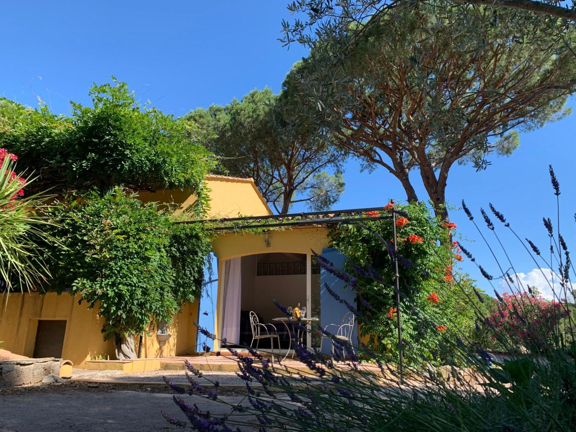 Sous Les Pins Parasols Vidauban Eksteriør billede