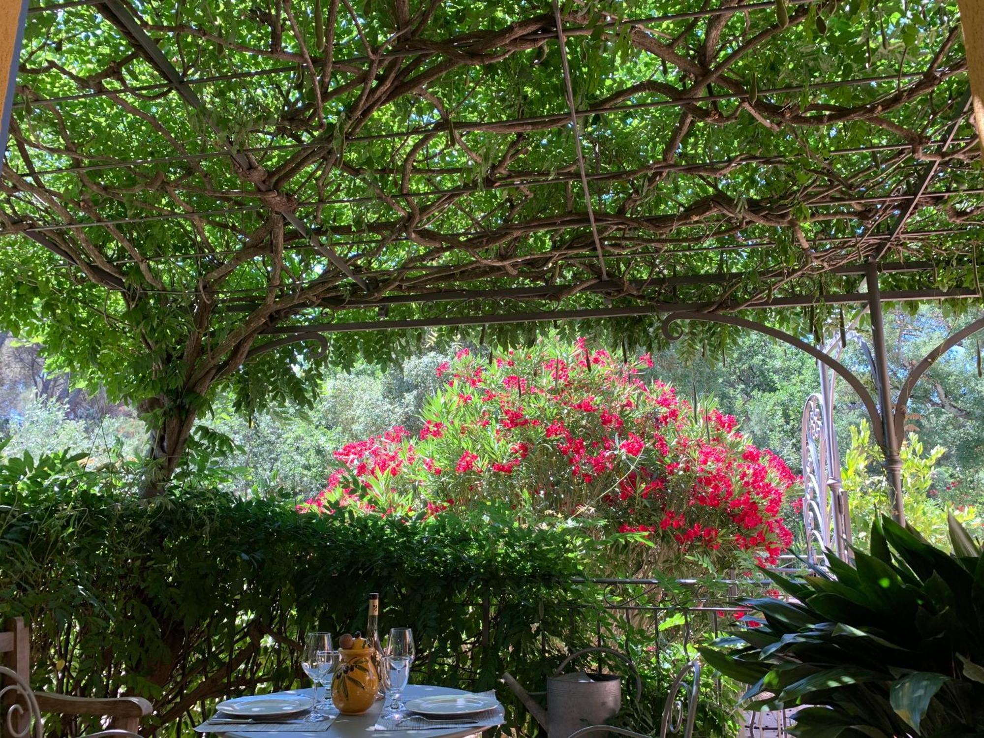 Sous Les Pins Parasols Vidauban Eksteriør billede