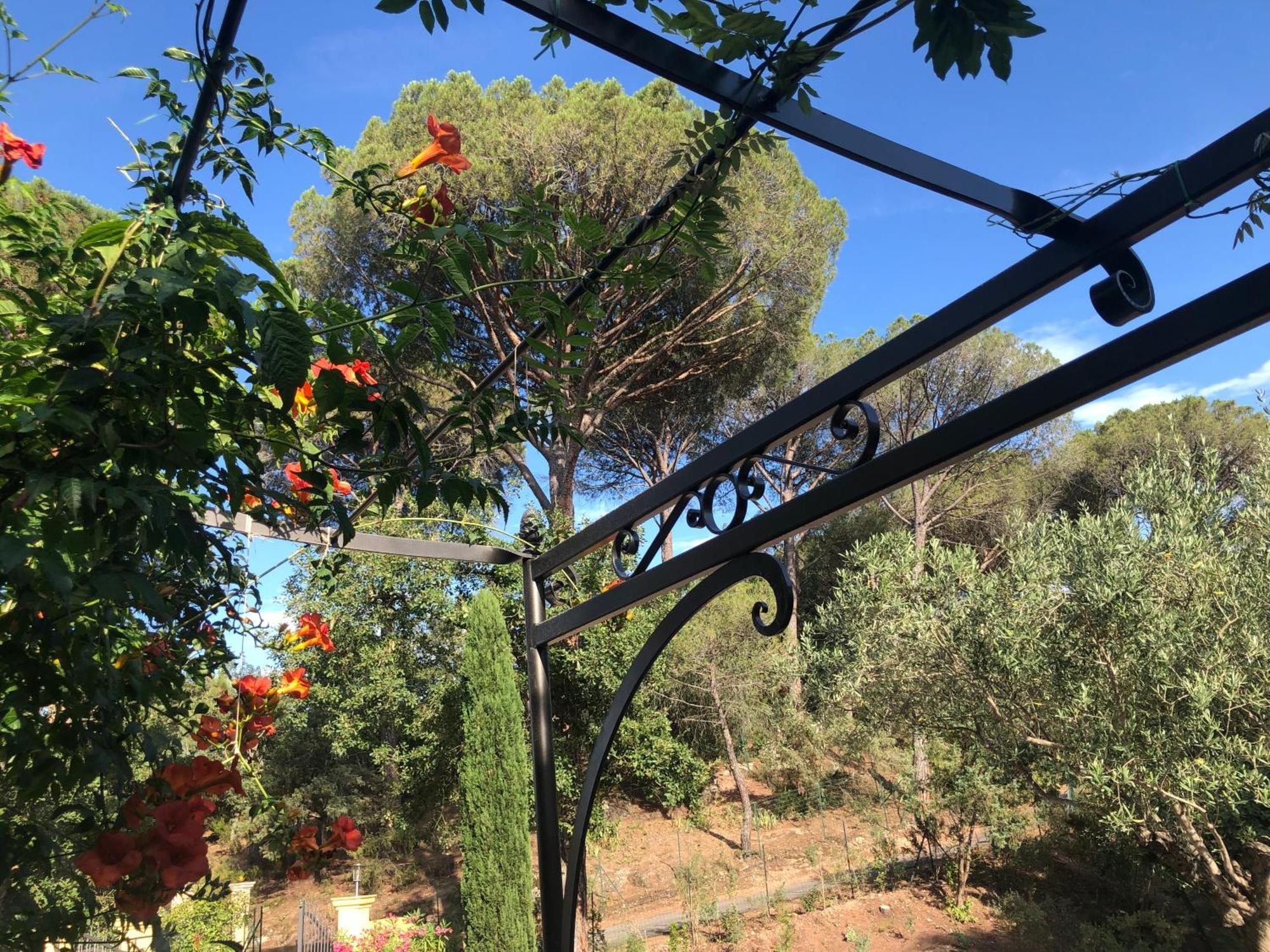 Sous Les Pins Parasols Vidauban Eksteriør billede
