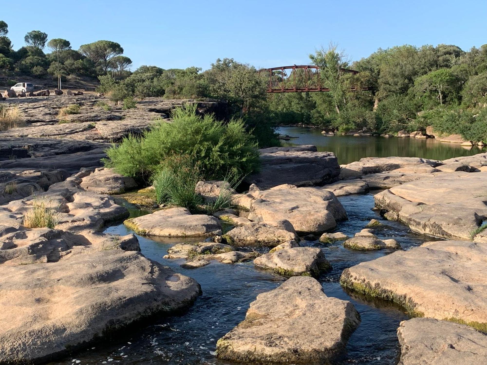 Sous Les Pins Parasols Vidauban Eksteriør billede