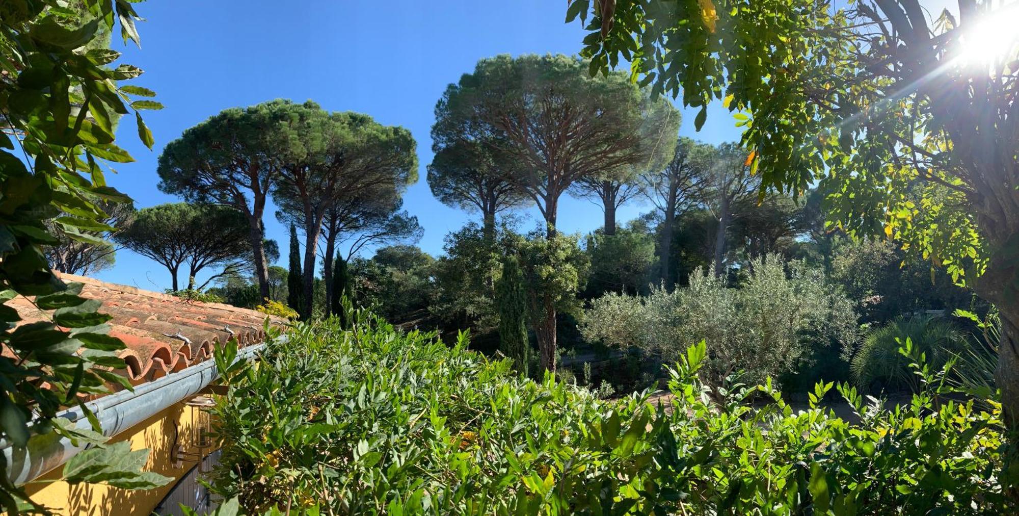 Sous Les Pins Parasols Vidauban Eksteriør billede