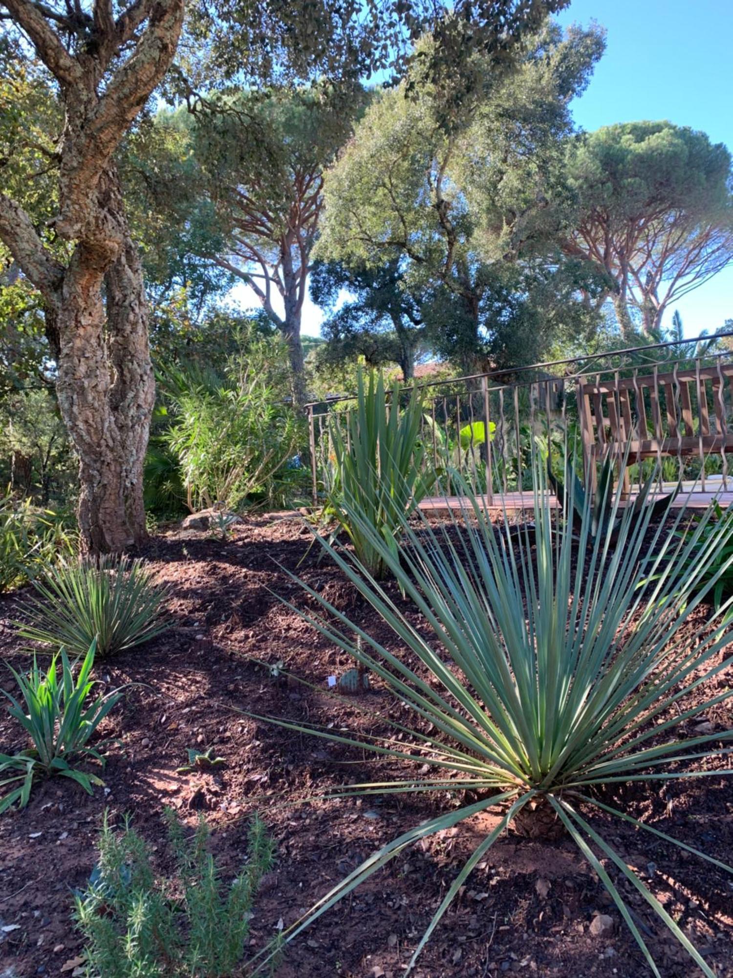Sous Les Pins Parasols Vidauban Eksteriør billede
