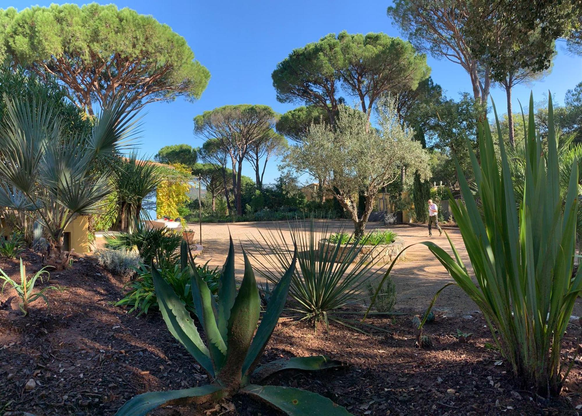 Sous Les Pins Parasols Vidauban Eksteriør billede